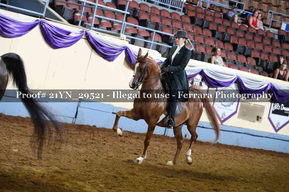 Proof 21YN_29521