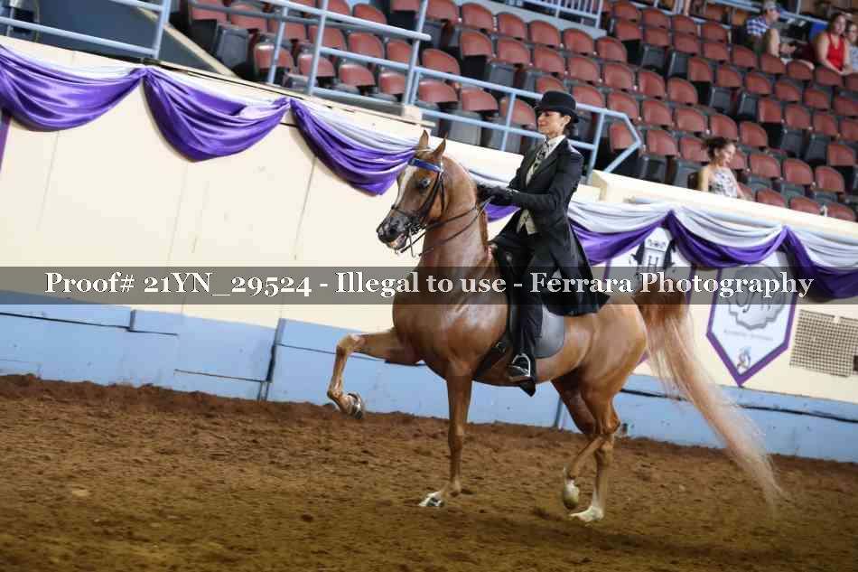 Proof 21YN_29524