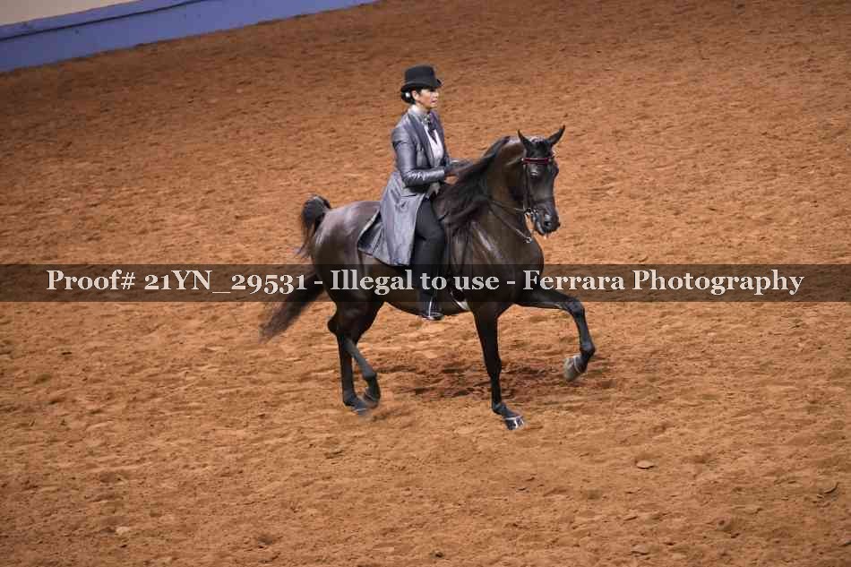 Proof 21YN_29531