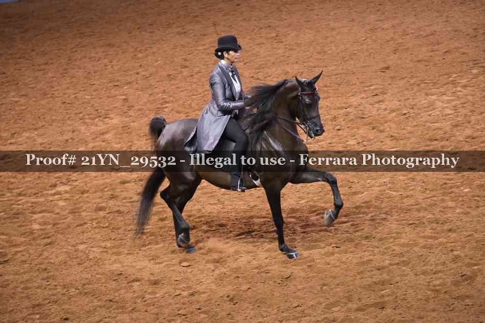 Proof 21YN_29532