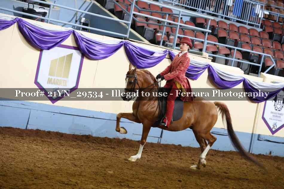 Proof 21YN_29534
