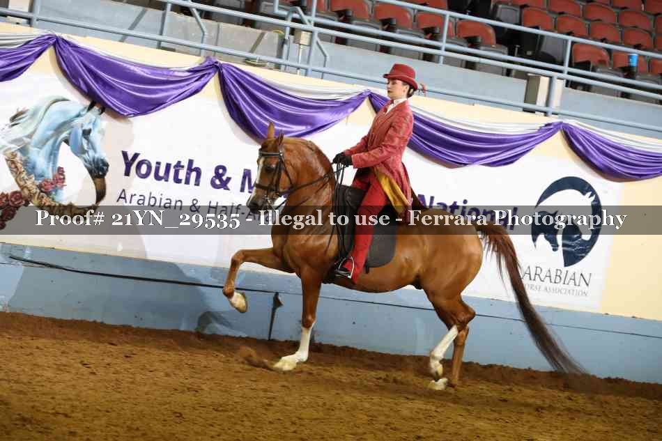 Proof 21YN_29535