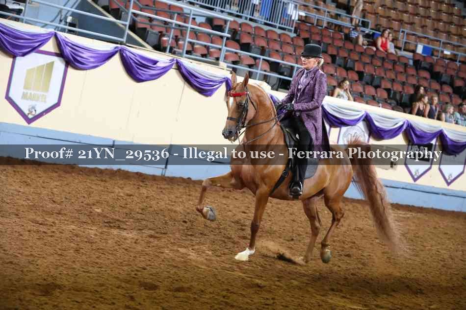 Proof 21YN_29536