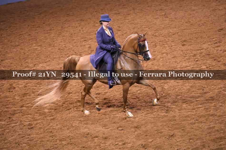 Proof 21YN_29541