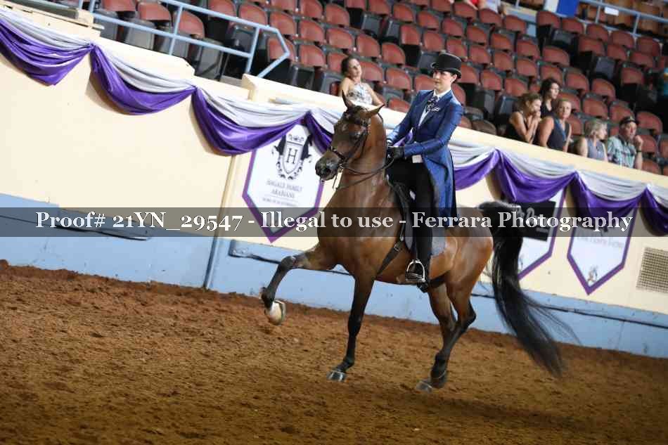 Proof 21YN_29547