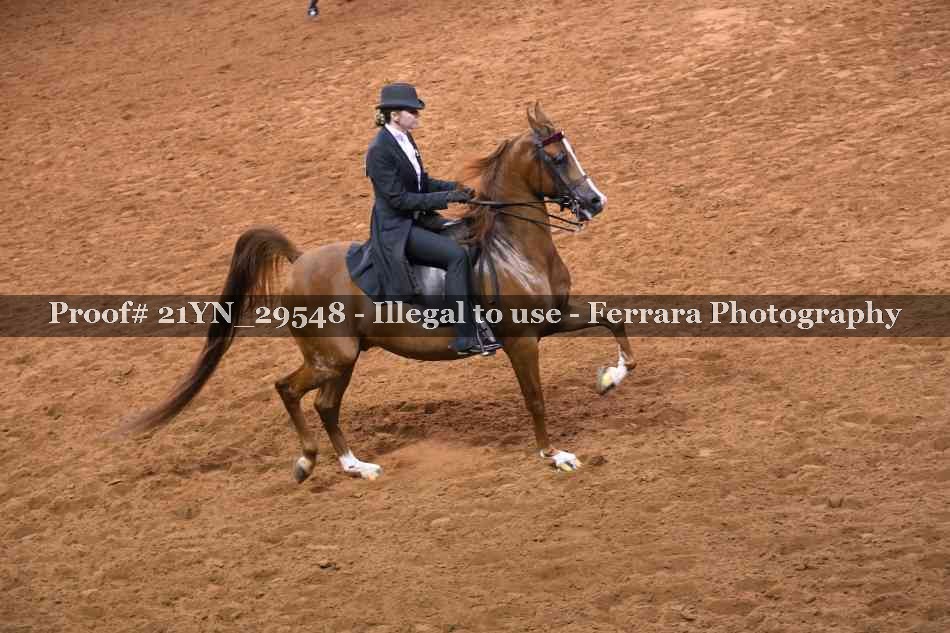 Proof 21YN_29548
