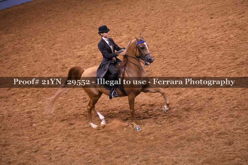 Proof 21YN_29552