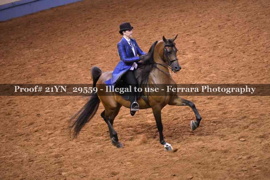 Proof 21YN_29559