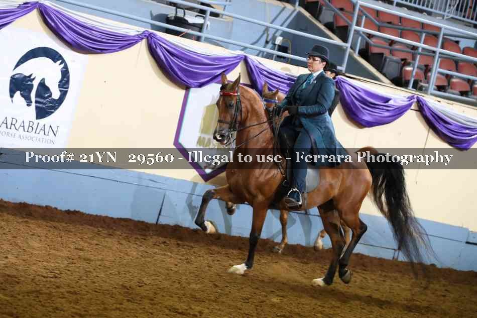 Proof 21YN_29560