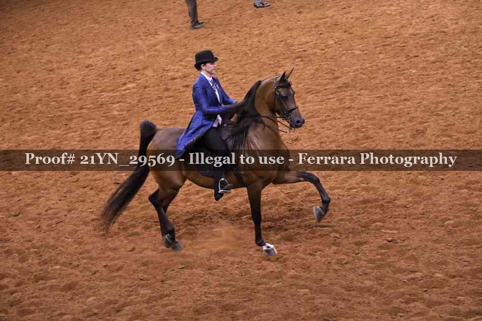 Proof 21YN_29569