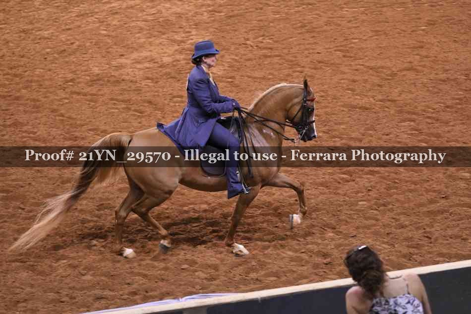 Proof 21YN_29570