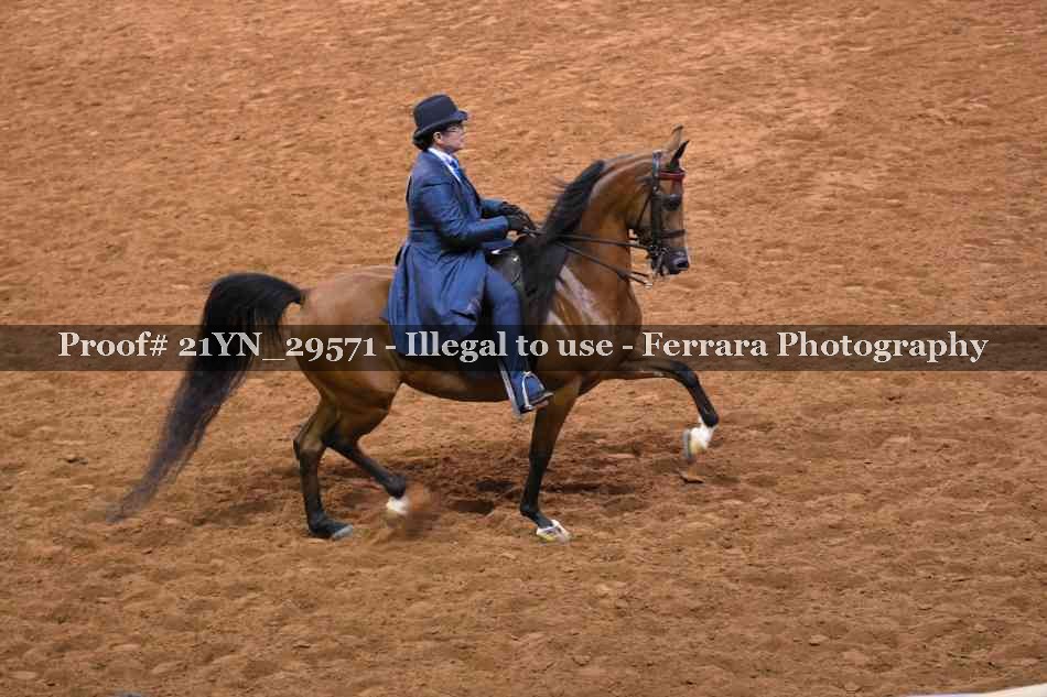 Proof 21YN_29571