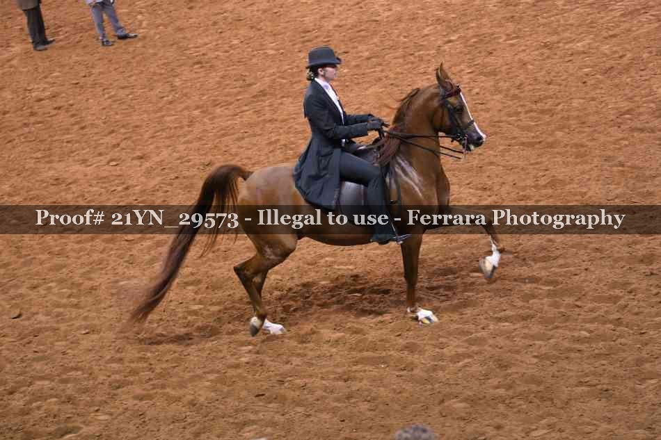 Proof 21YN_29573