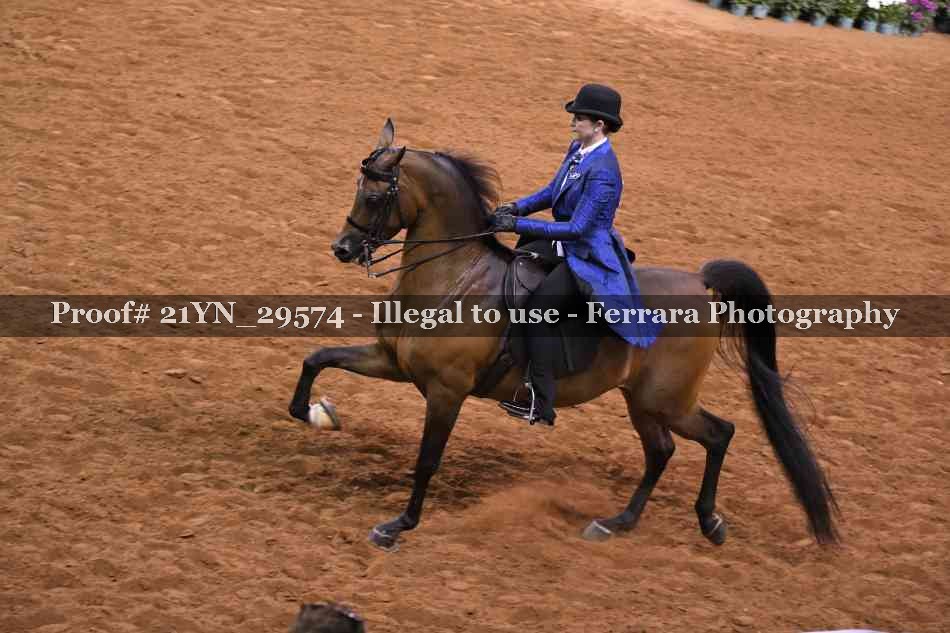 Proof 21YN_29574