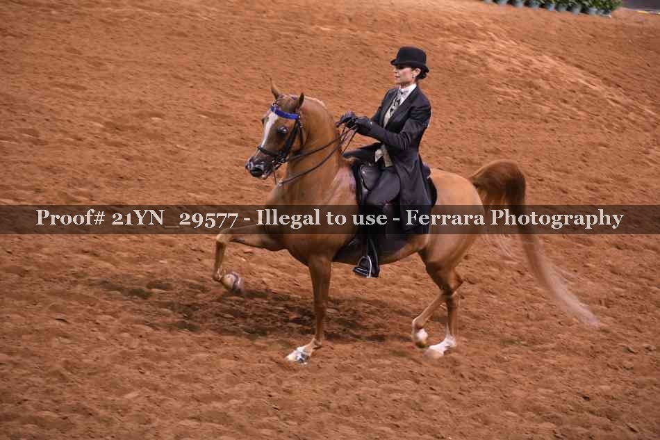 Proof 21YN_29577