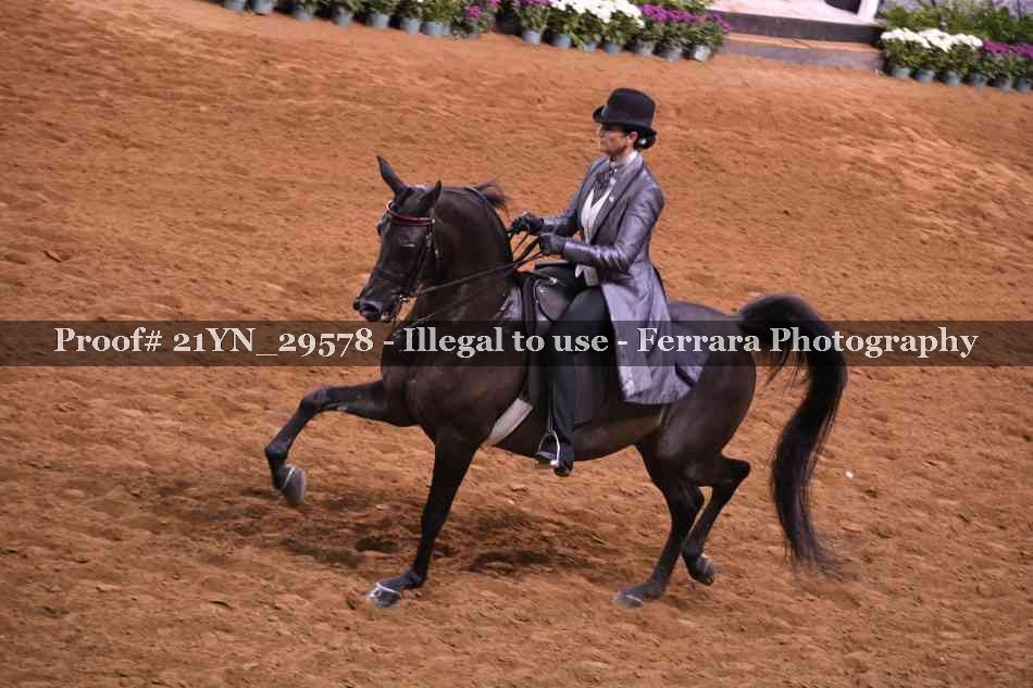 Proof 21YN_29578