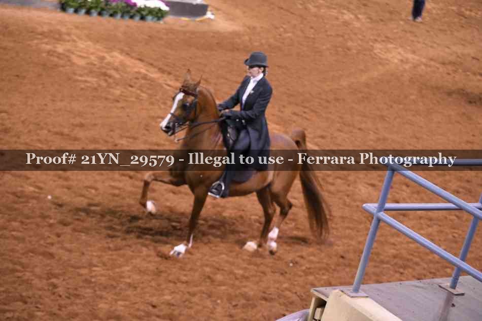 Proof 21YN_29579