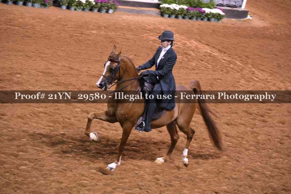 Proof 21YN_29580