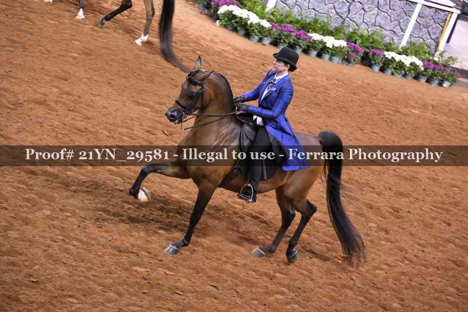Proof 21YN_29581
