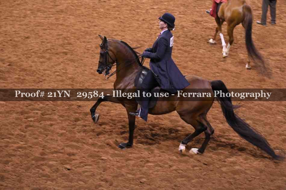 Proof 21YN_29584