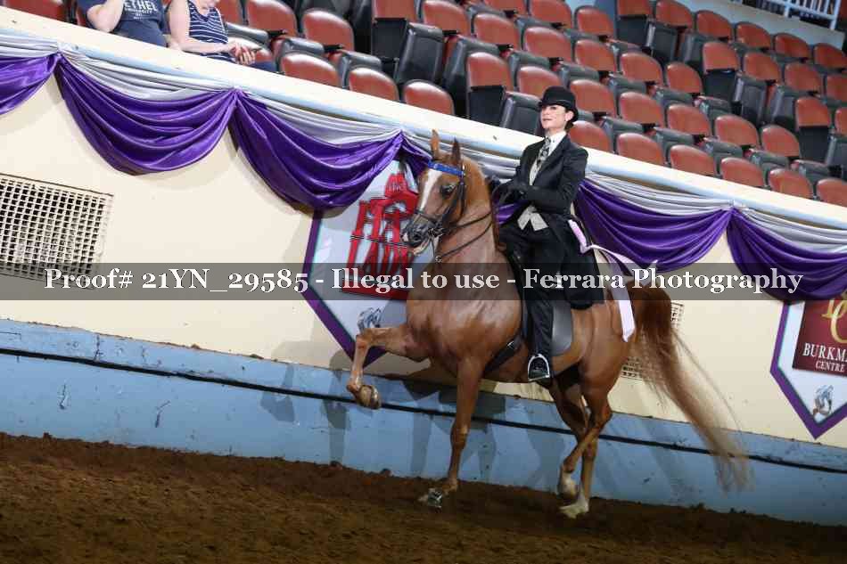 Proof 21YN_29585