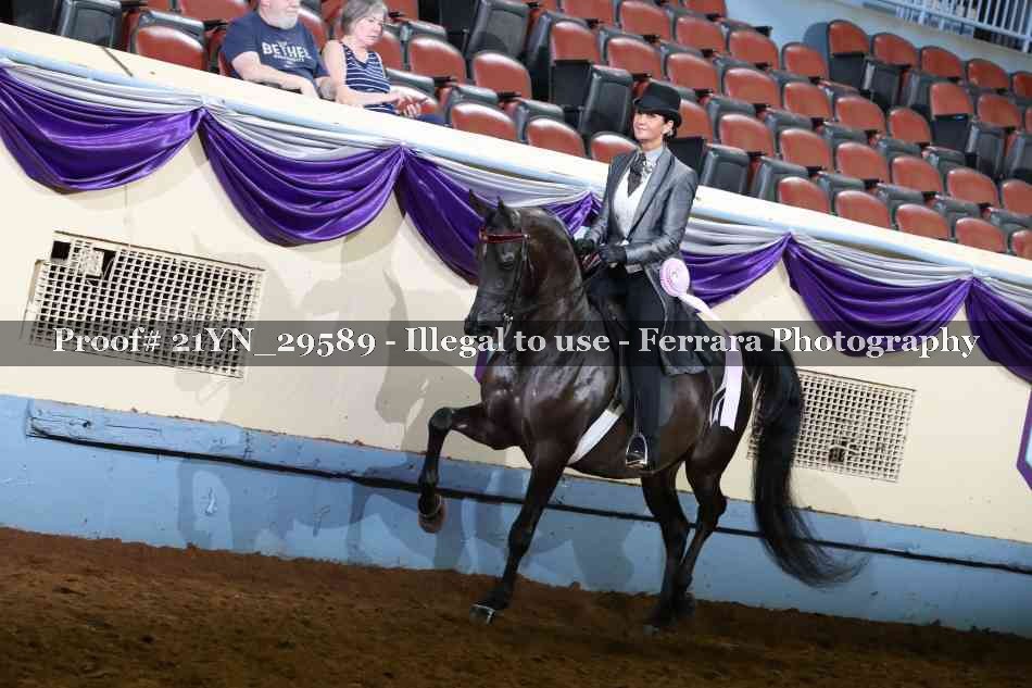 Proof 21YN_29589