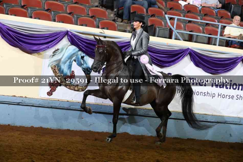 Proof 21YN_29591