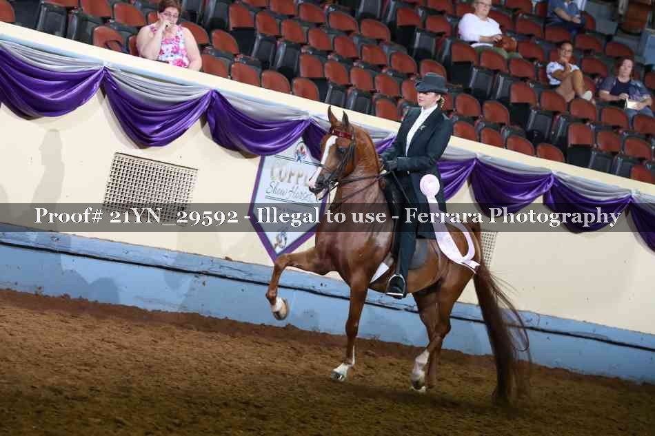 Proof 21YN_29592