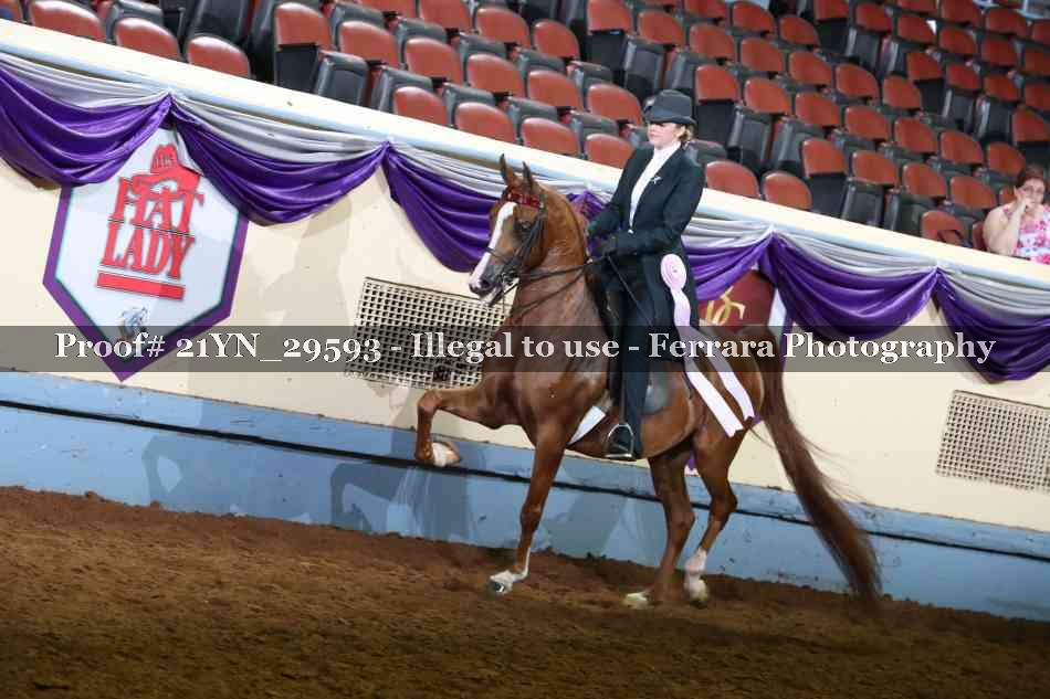 Proof 21YN_29593