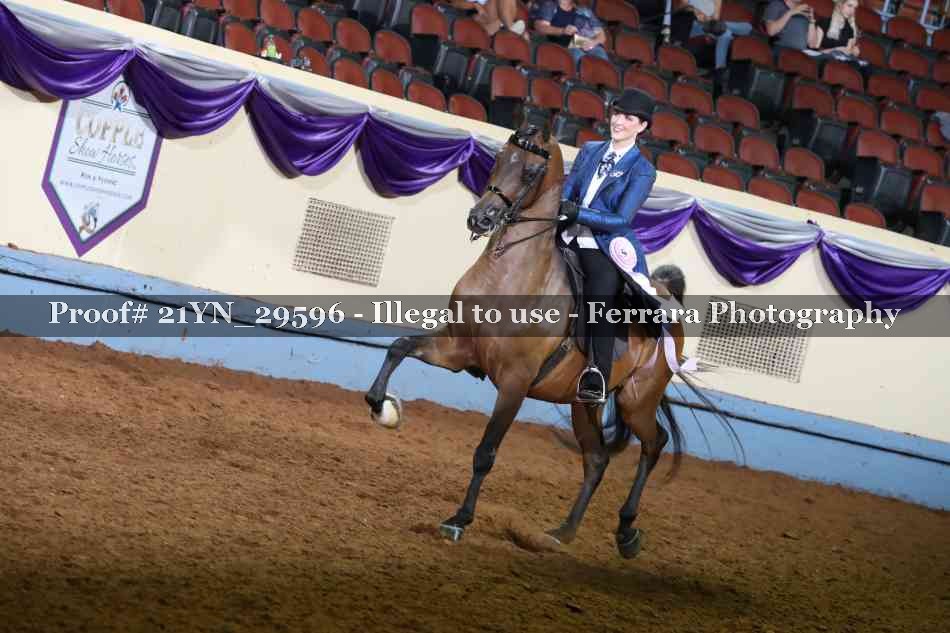 Proof 21YN_29596