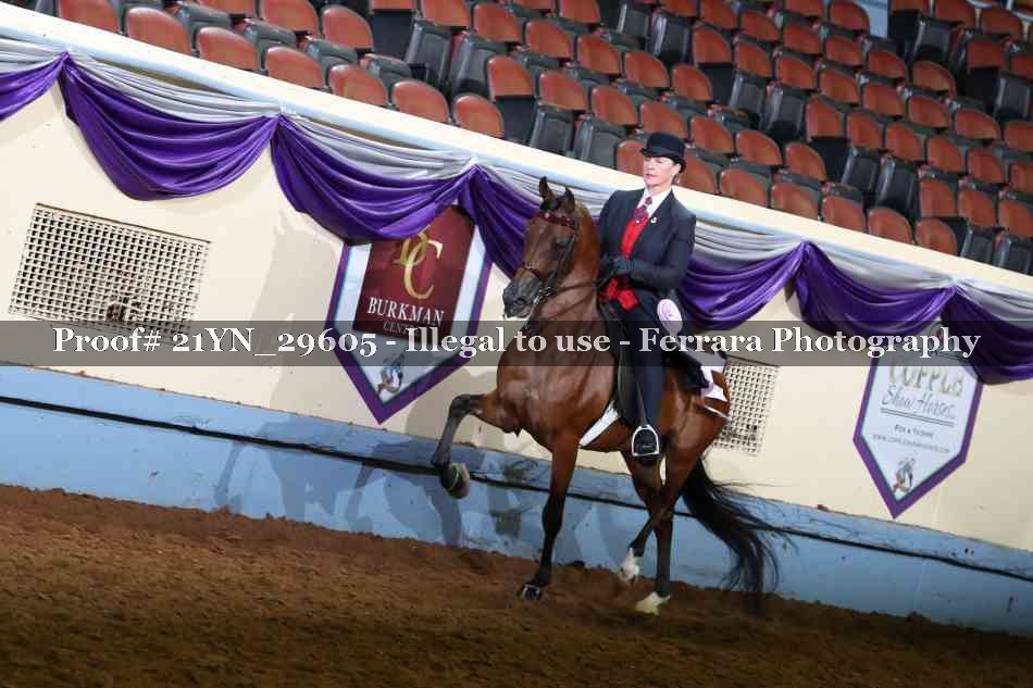 Proof 21YN_29605