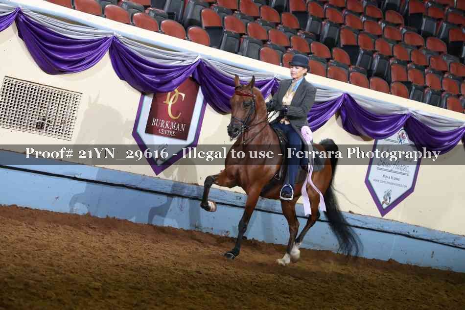 Proof 21YN_29616