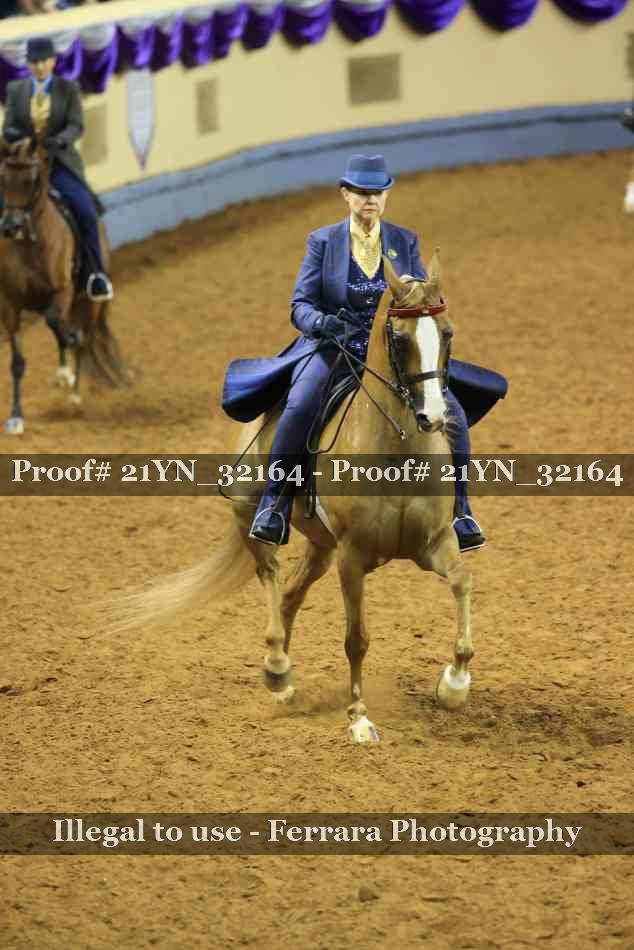 Proof 21YN_32164