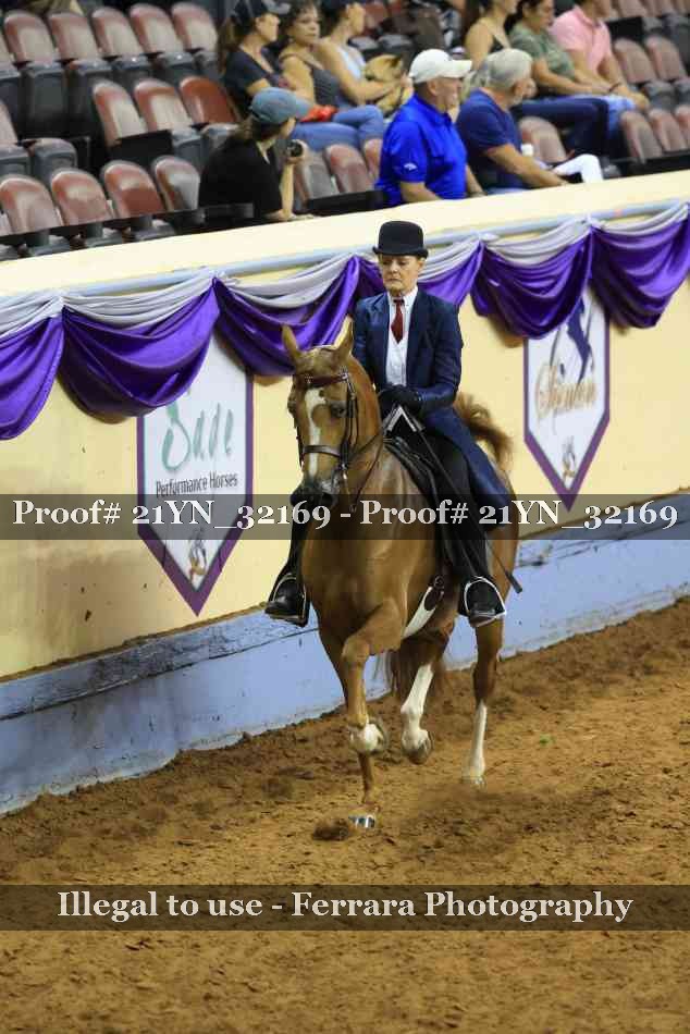 Proof 21YN_32169
