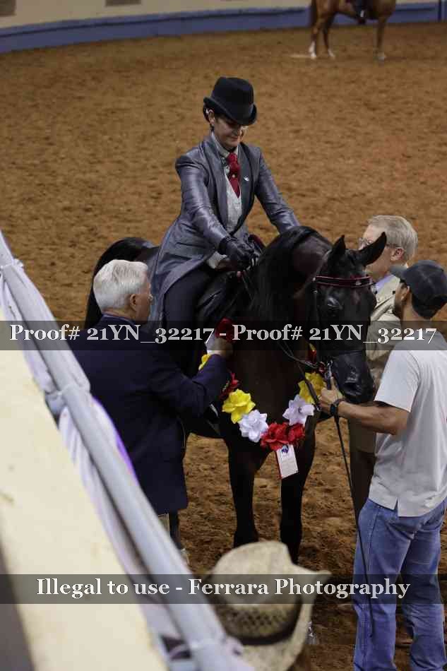 Proof 21YN_32217