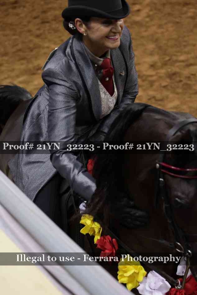 Proof 21YN_32223