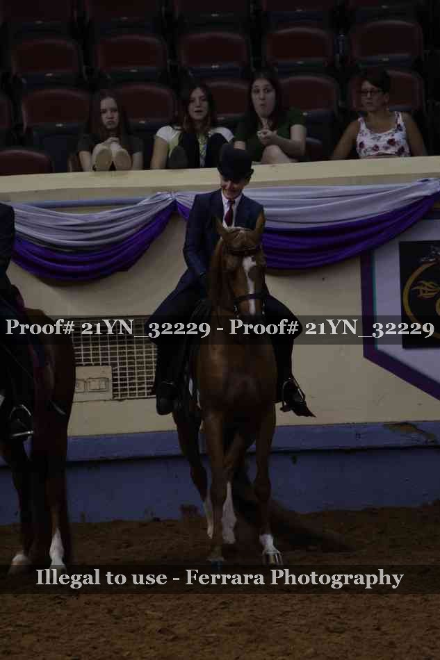 Proof 21YN_32229