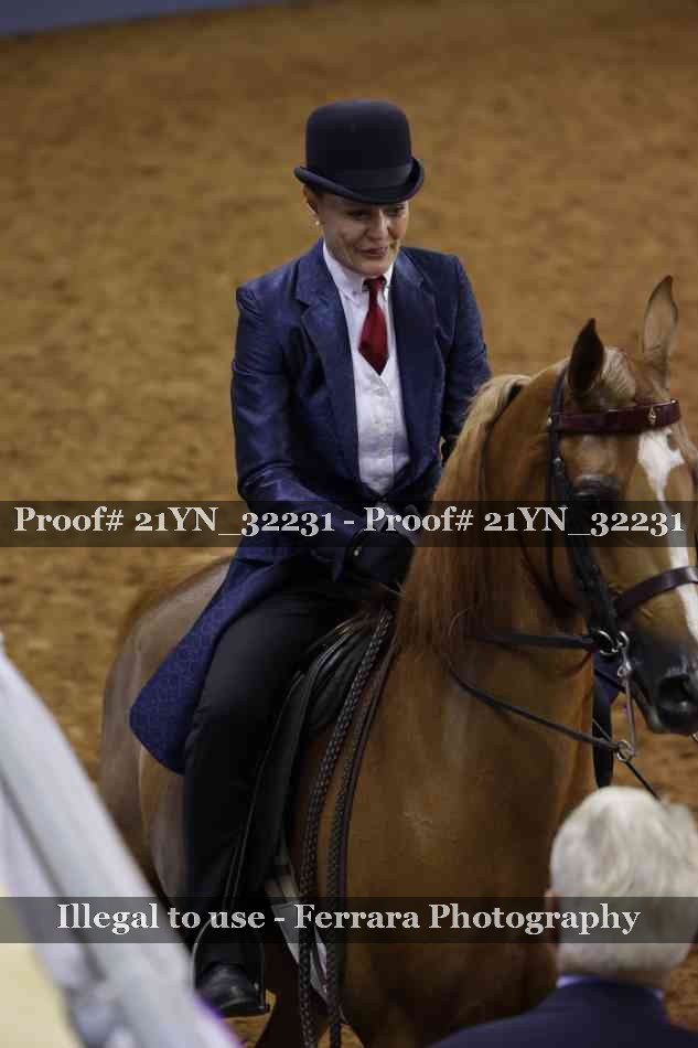 Proof 21YN_32231