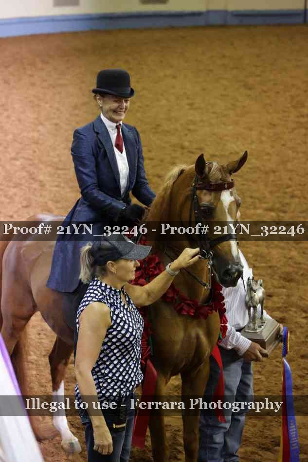 Proof 21YN_32246
