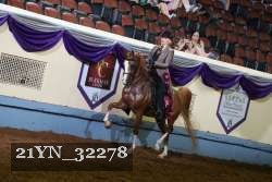 21YN_32278 proof