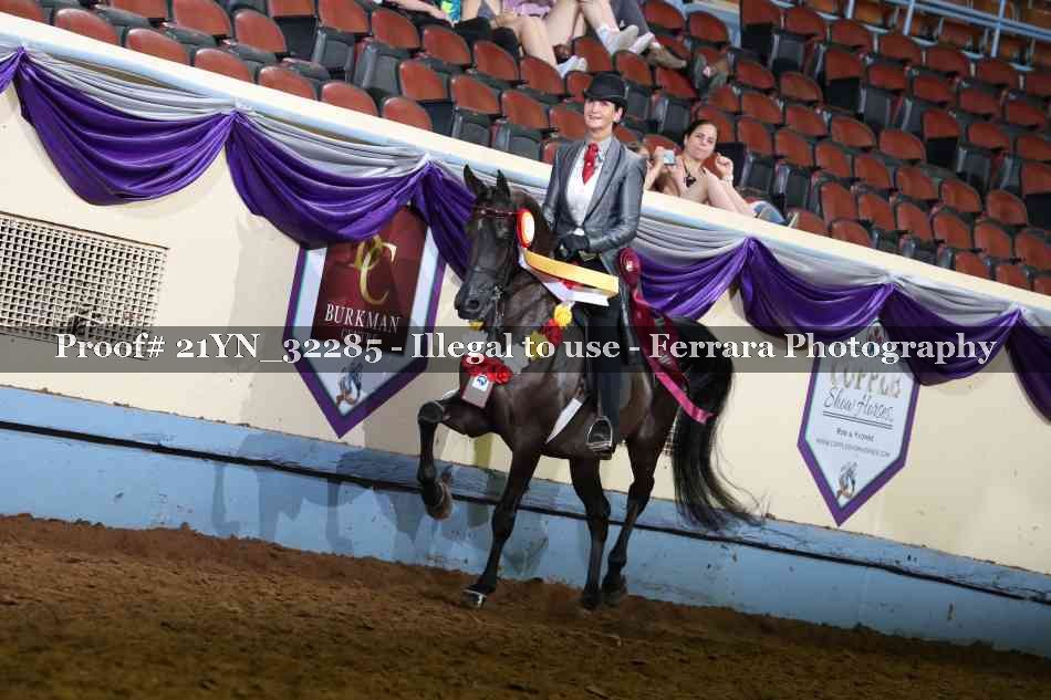 Proof 21YN_32285