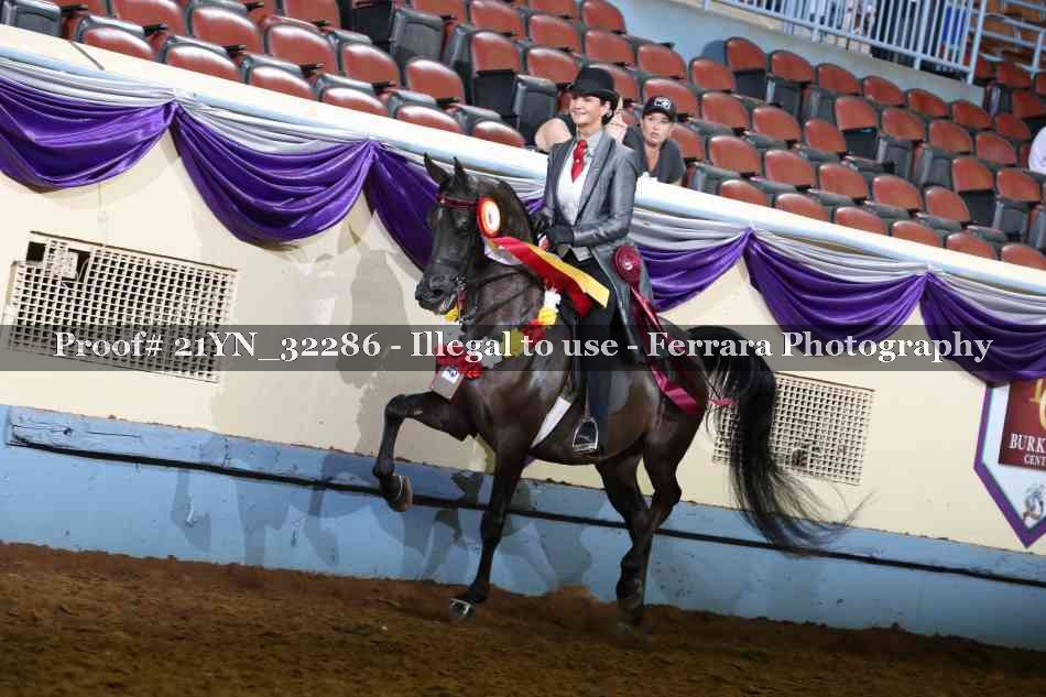 Proof 21YN_32286
