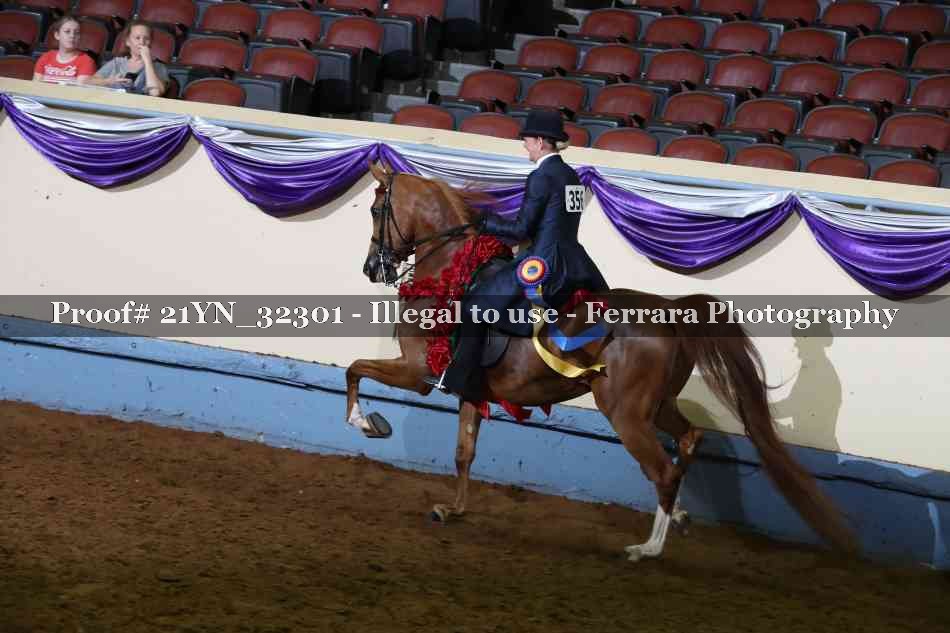 Proof 21YN_32301