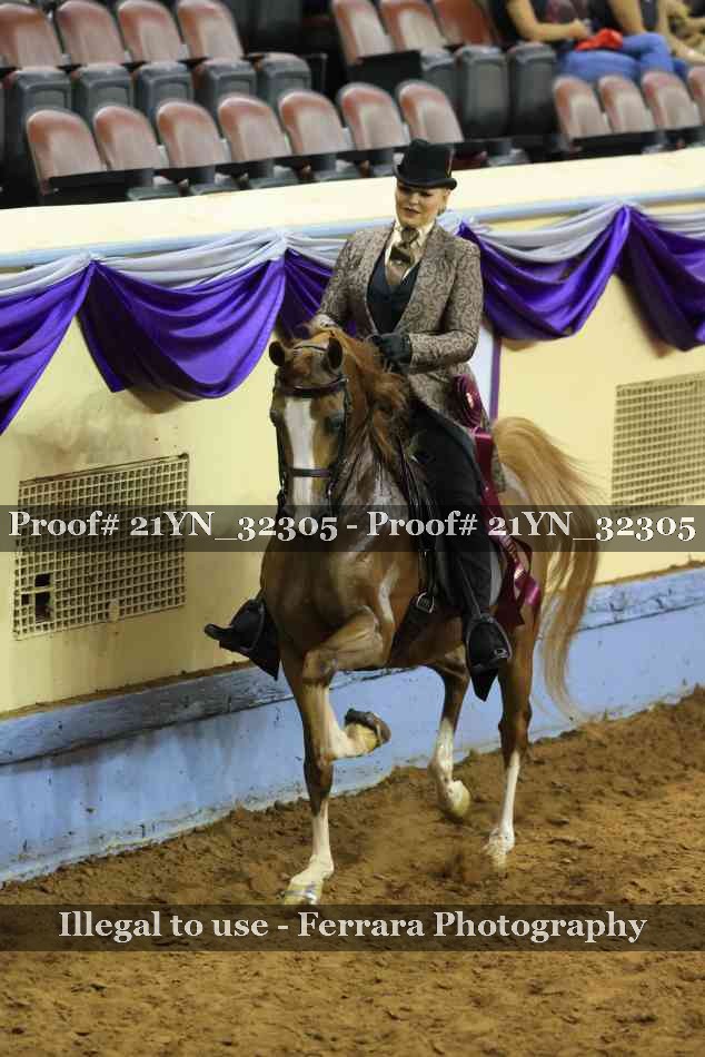 Proof 21YN_32305