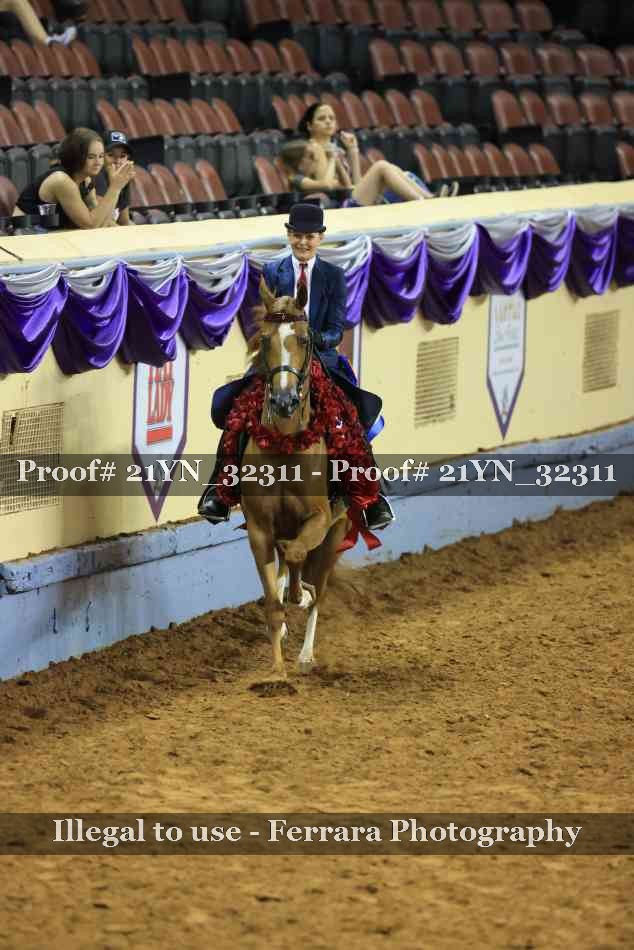 Proof 21YN_32311