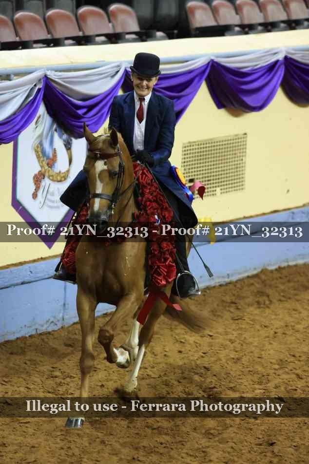 Proof 21YN_32313