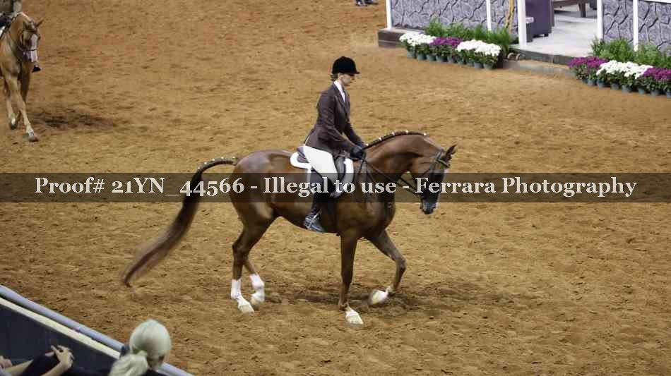 Proof 21YN_44566