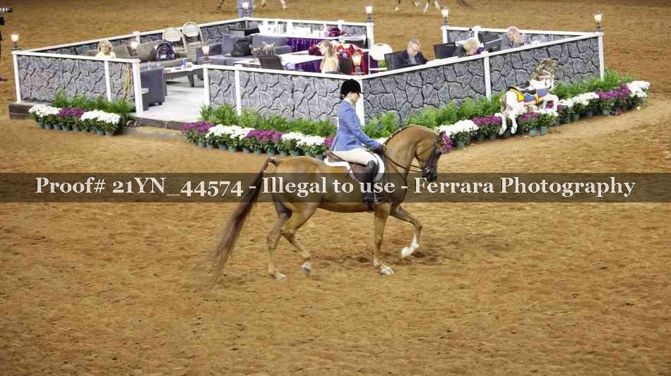 Proof 21YN_44574