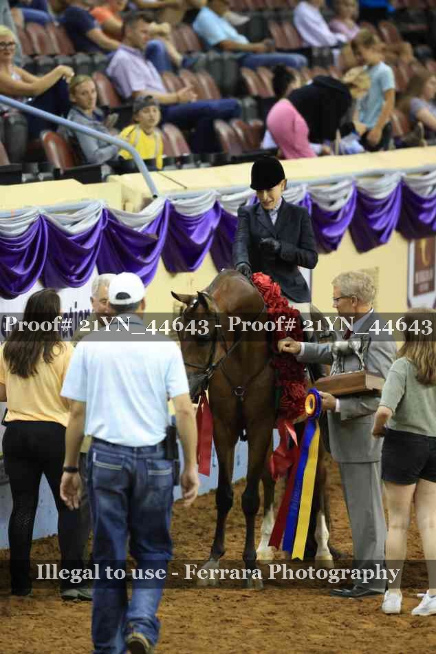 Proof 21YN_44643