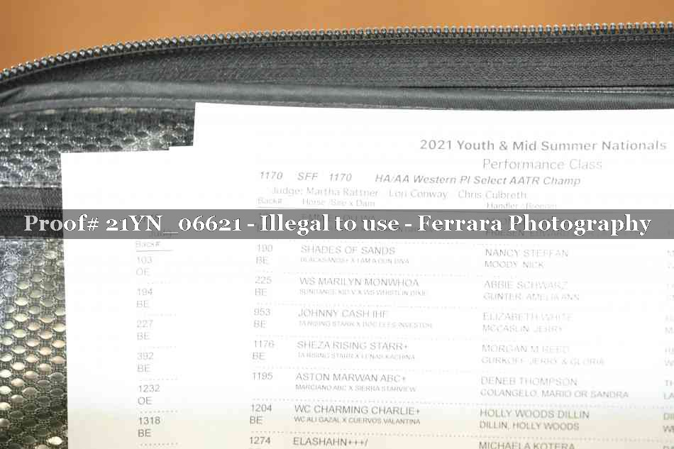 Proof 21YN_06621